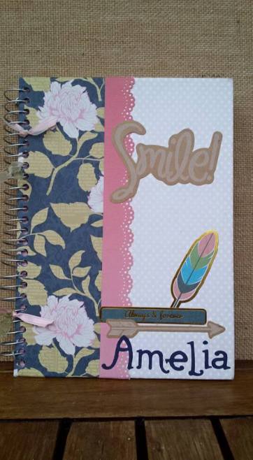 15622477_1432364396806598_2729991679238462923_n